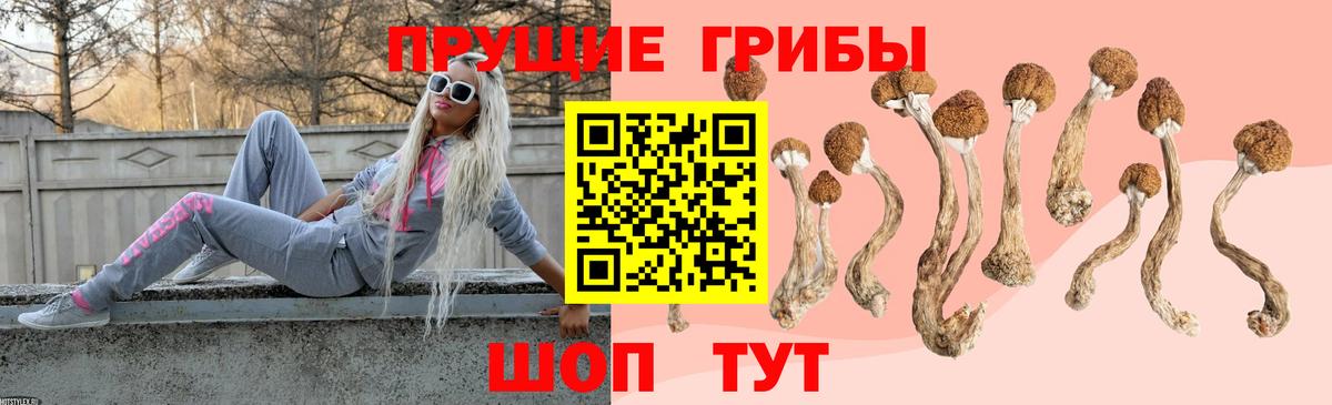 Галлюциногенные грибы прущие грибы  Вход с VPN  Псилоцибиновые грибы ЛСД  Кандалакша 