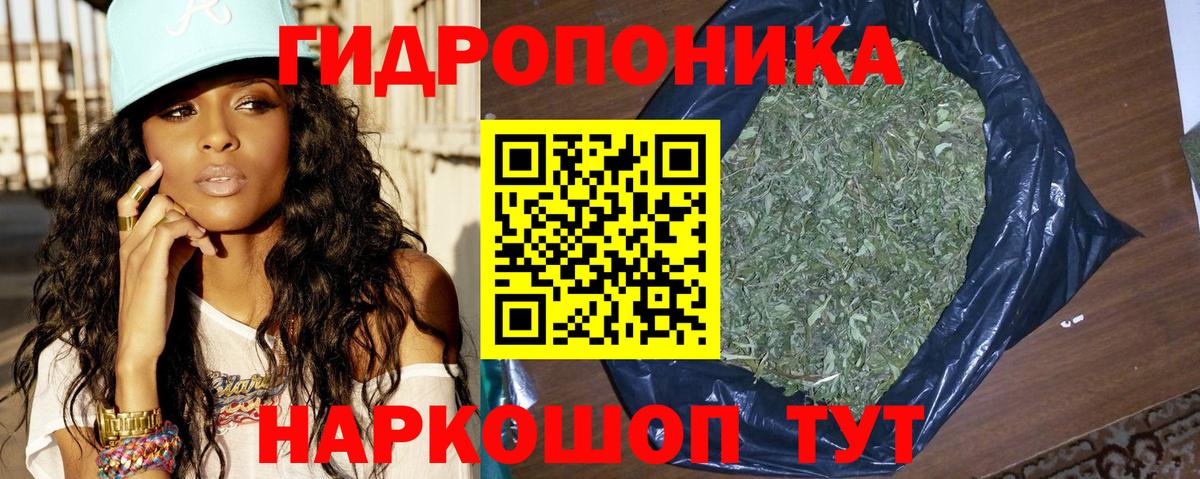 Бошки Шишки семена  Бошки Шишки OG Kush  Вход с VPN  Кандалакша 